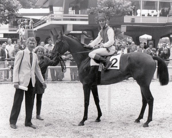 horse Bronzfield xx (Thoroughbred, 1981, from Lombard xx)
