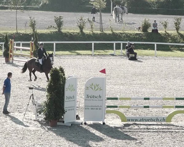 Pferdesporttage Bülach 2021