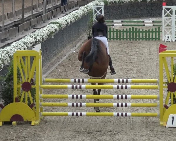 Reitturnier Wipperfürth-Kreuzberg 2020