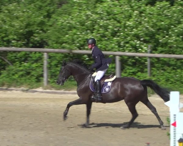 Reitturnier Erkrath - Uhlenhof 2020