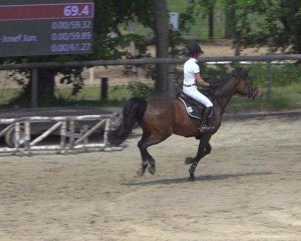 Reitturnier Erkrath - Uhlenhof 2020