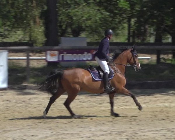 Reitturnier Erkrath - Uhlenhof 2020
