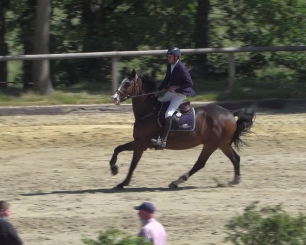 Reitturnier Erkrath - Uhlenhof 2020