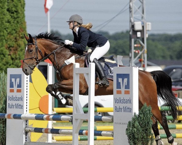jumper Loriana 11 (Westphalian, 2003, from Lissabon 29)