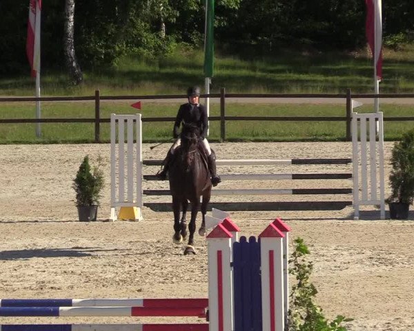 Reitturnier Westergellersen 2020