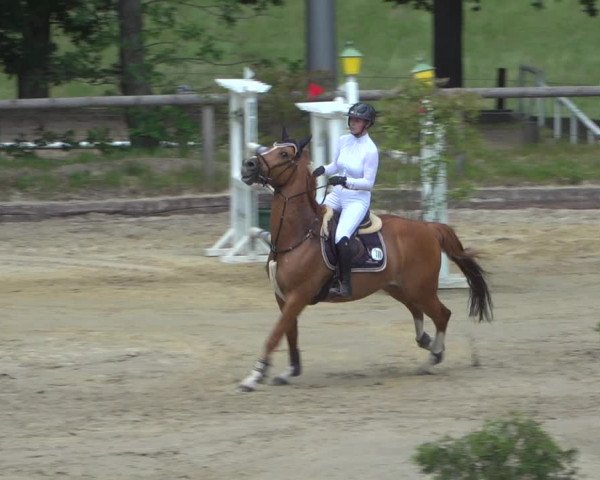Reitturnier Erkrath - Uhlenhof 2020
