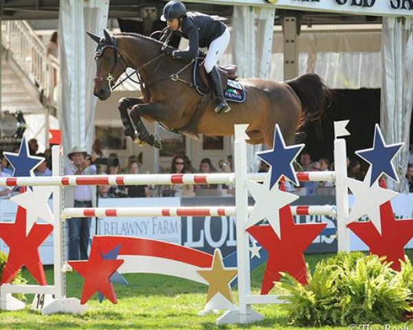 jumper Deauville S (Holsteiner, 2006, from Diamant de Semilly)
