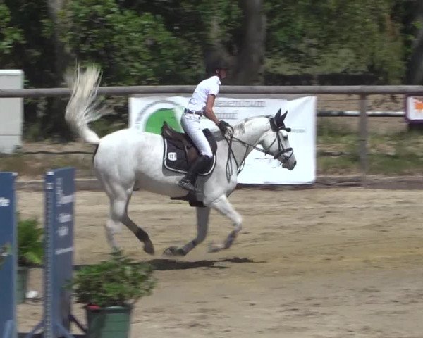 Reitturnier Erkrath - Uhlenhof 2020