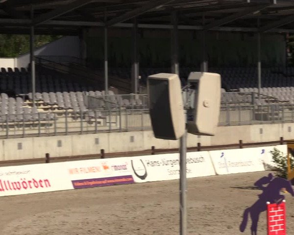 Reitturnier Westergellersen 2020