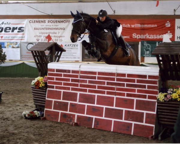 Springpferd Lando 99 (Hannoveraner, 1993, von Landadel)
