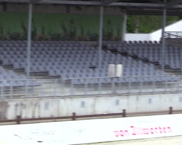 Reitturnier Westergellersen 2020