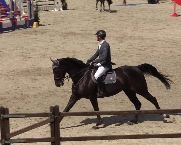 Reitturnier Westergellersen 2020