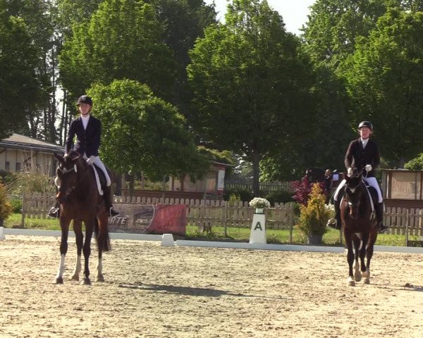 Reitturnier Schülp bei Rendsburg (Am Moltkestein) 2020