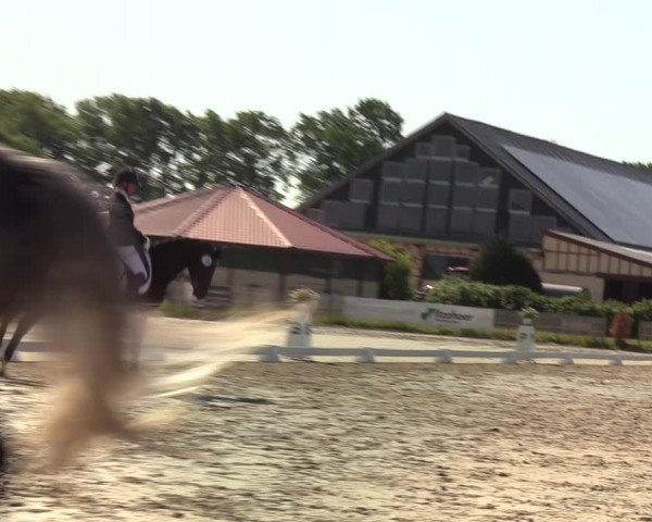 Reitturnier Schülp bei Rendsburg (Am Moltkestein) 2020
