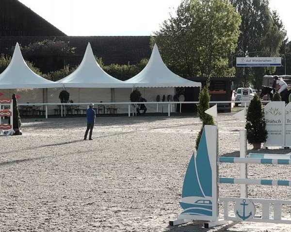 Pferdesporttage Bülach 2021