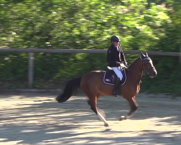 Reitturnier Erkrath - Uhlenhof 2020