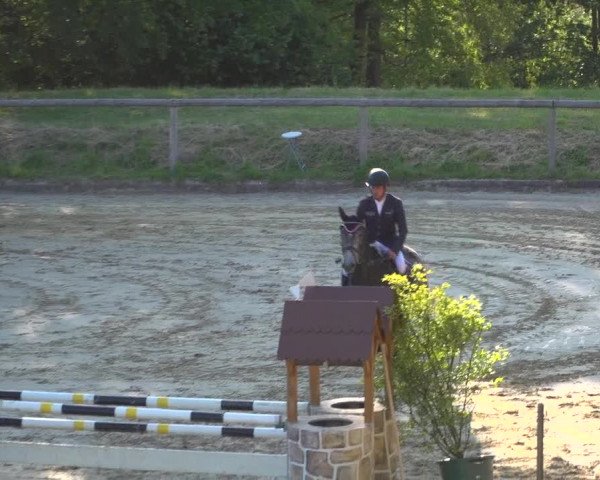 Reitturnier Erkrath - Uhlenhof 2020