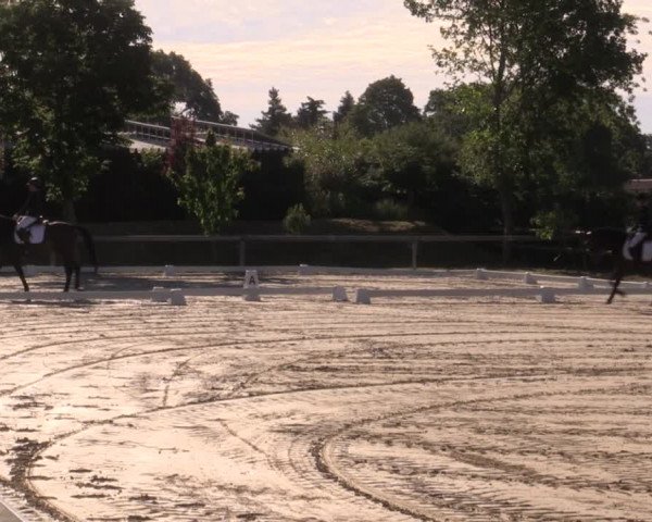 Reitturnier Niedernstöcken 2020