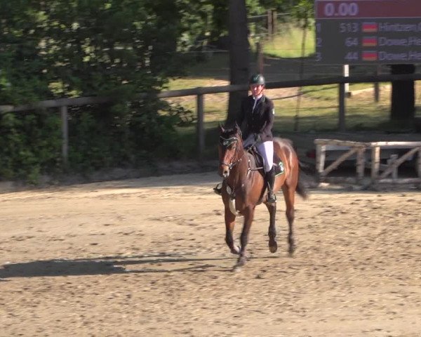 Reitturnier Erkrath - Uhlenhof 2020