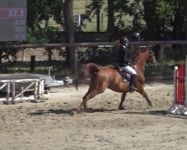 Reitturnier Erkrath - Uhlenhof 2020