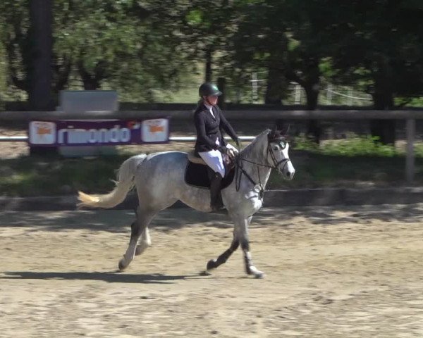 Reitturnier Erkrath - Uhlenhof 2020