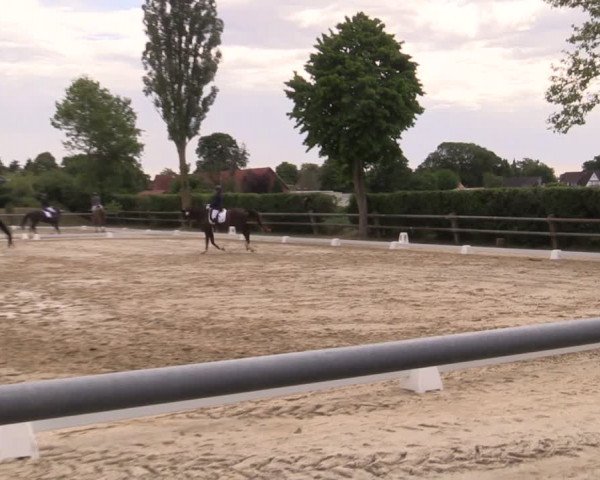 Reitturnier Niedernstöcken 2020