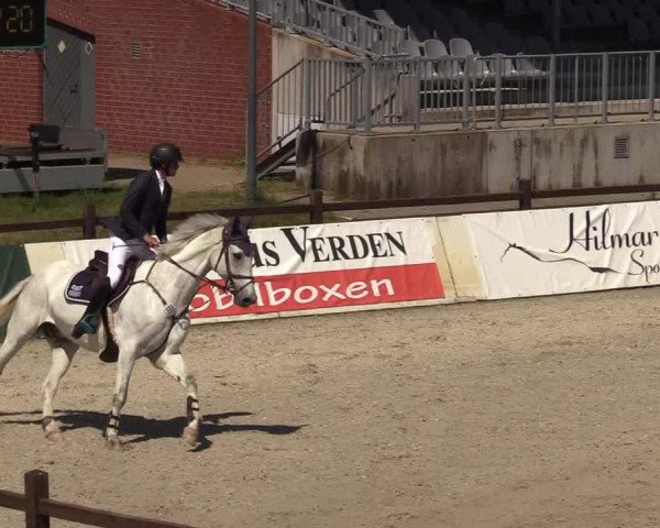 Reitturnier Westergellersen 2020