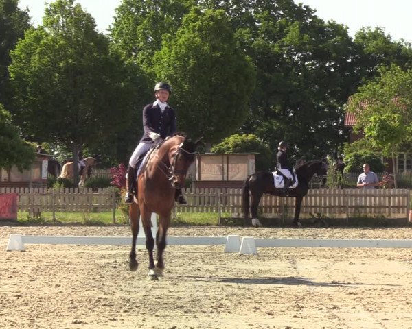 Reitturnier Schülp bei Rendsburg (Am Moltkestein) 2020