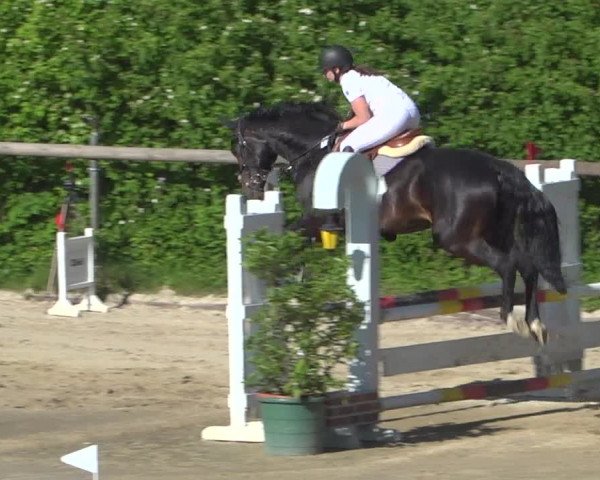Reitturnier Erkrath - Uhlenhof 2020