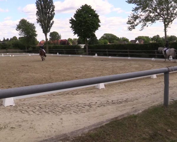 Reitturnier Niedernstöcken 2020