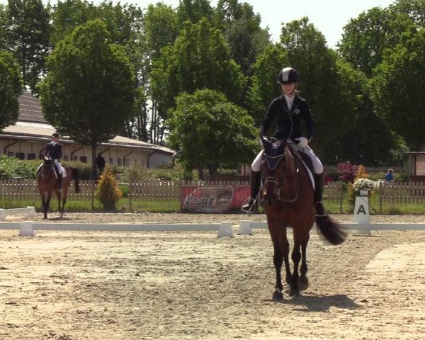 Reitturnier Schülp bei Rendsburg (Am Moltkestein) 2020