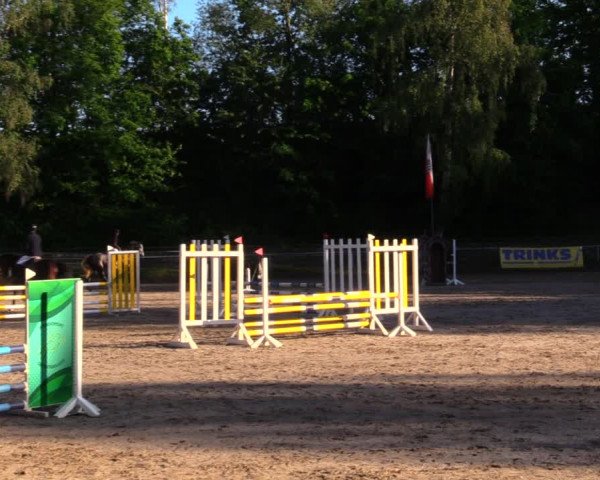 Reitturnier Lgl.-Oberhain, B95 2020