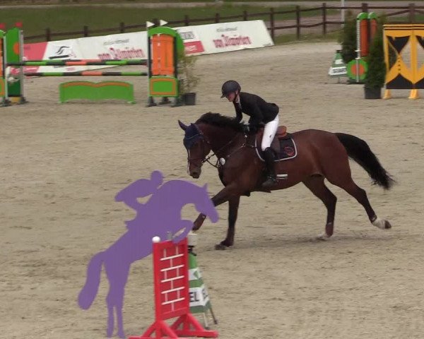 Reitturnier Westergellersen 2020