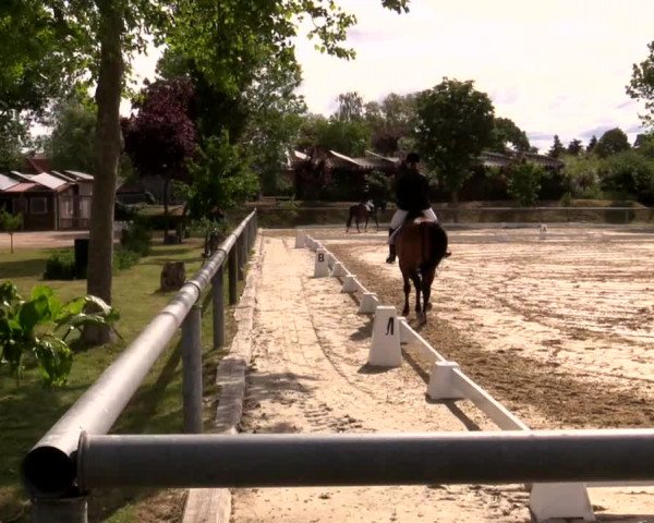 Reitturnier Niedernstöcken 2020