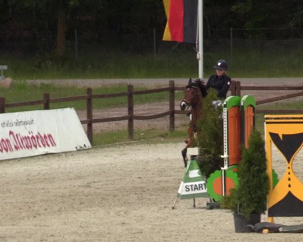 Reitturnier Westergellersen 2020