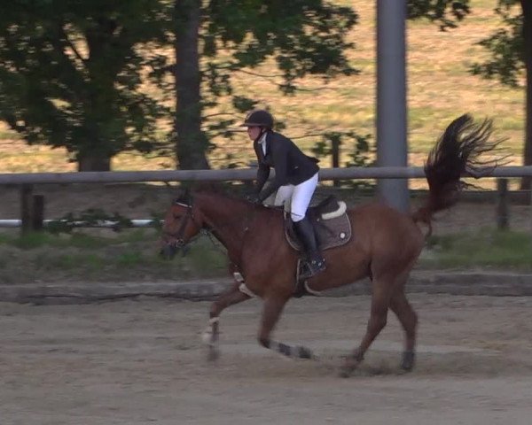 Reitturnier Erkrath - Uhlenhof 2020
