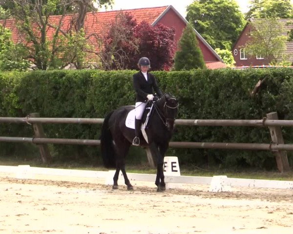 Reitturnier Niedernstöcken 2020