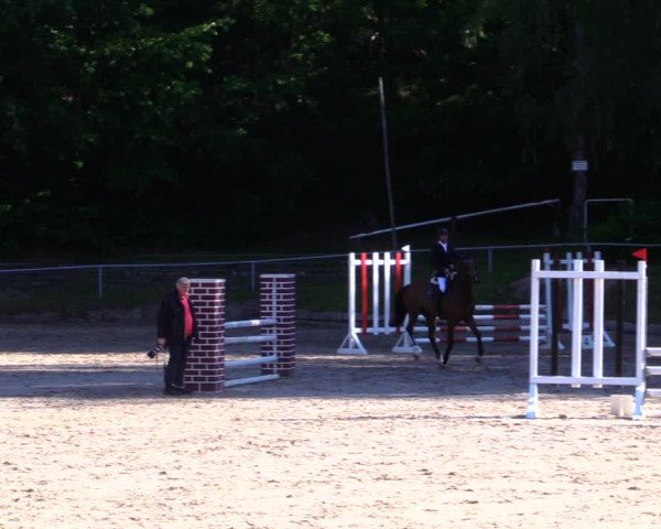Reitturnier Lgl.-Oberhain, B95 2020