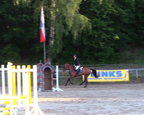 Reitturnier Lgl.-Oberhain, B95 2020