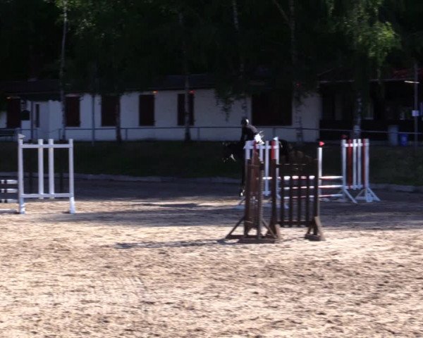 Reitturnier Lgl.-Oberhain, B95 2020