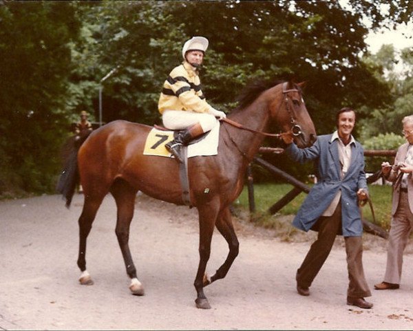 horse Boxberger Girl xx (Thoroughbred, 1975, from Darling Boy xx)