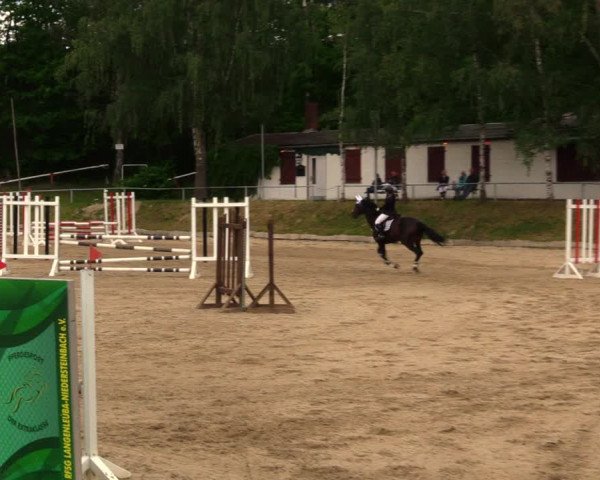 Reitturnier Lgl.-Oberhain, B95 2020