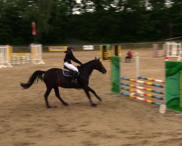 Reitturnier Lgl.-Oberhain, B95 2020
