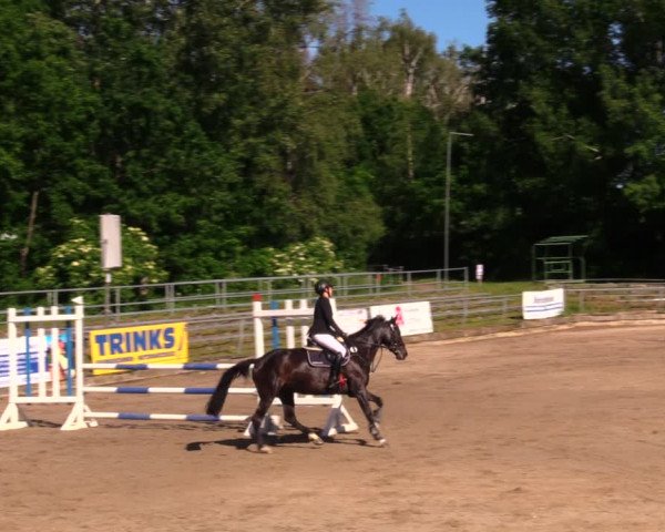 Reitturnier Lgl.-Oberhain, B95 2020