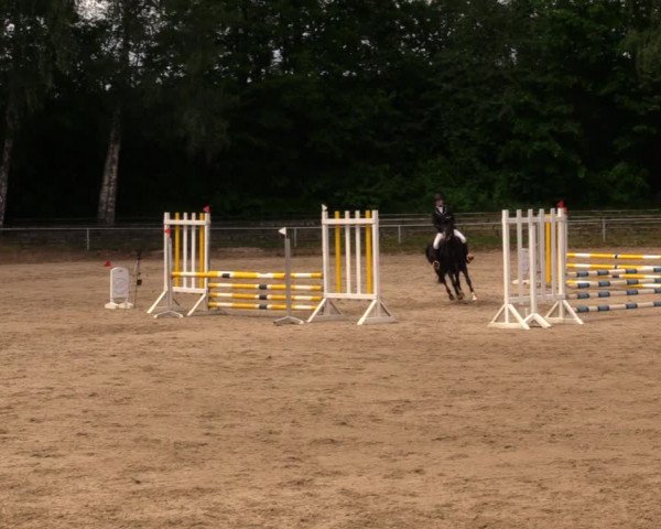Reitturnier Lgl.-Oberhain, B95 2020
