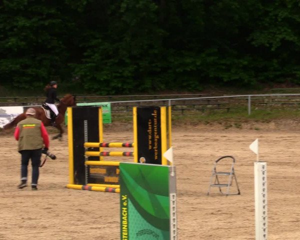 Reitturnier Lgl.-Oberhain, B95 2020