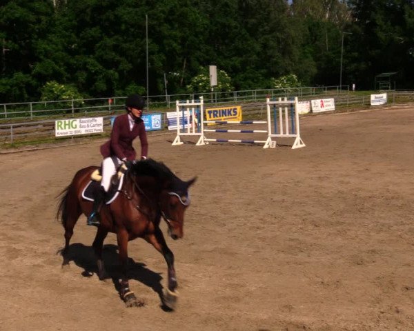 Reitturnier Lgl.-Oberhain, B95 2020