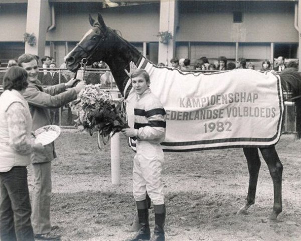 broodmare Boxberger Beauty xx (Thoroughbred, 1979, from Filandre xx) broodmare Boxberger Beauty xx (Thoroughbred, 1979, from Filandre xx)
