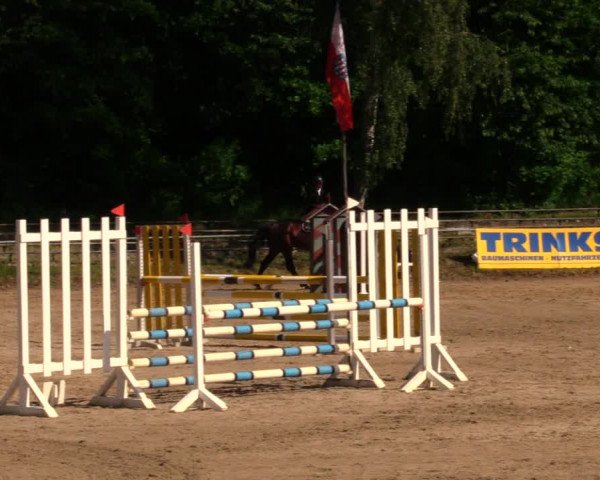Reitturnier Lgl.-Oberhain, B95 2020
