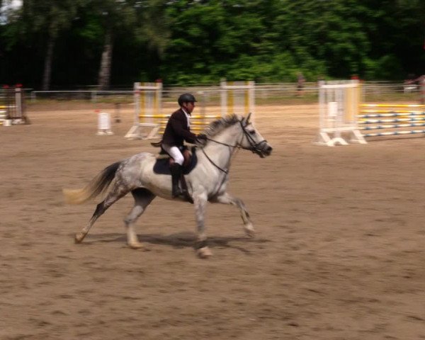 Reitturnier Lgl.-Oberhain, B95 2020